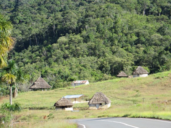 Grand Savanna, Venezuela, local huts, grassland and forest