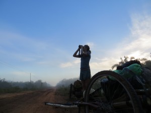 Early morning bird survey, Amazon